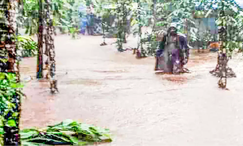 വെള്ളാരംകുത്ത് ആദിവാസിക്കുടിയിൽ ഉരുൾപൊട്ടി; പാലം മുങ്ങി