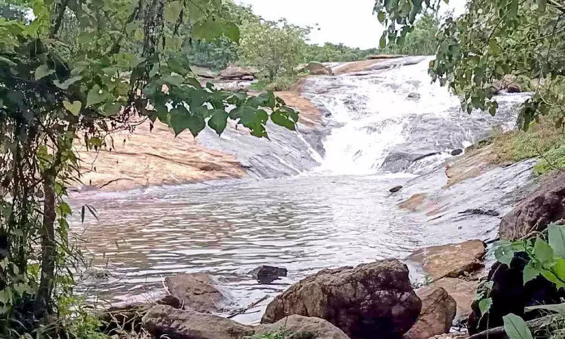 ജലസമൃദ്ധിയിൽ മനോഹരിയായി വടാട്ടുപാറ വെള്ളച്ചാട്ടം