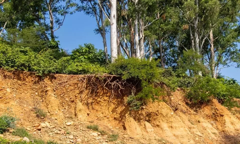 മണ്ണൊലിപ്പ്​; ഭീതിയോടെ കുടുംബങ്ങൾ