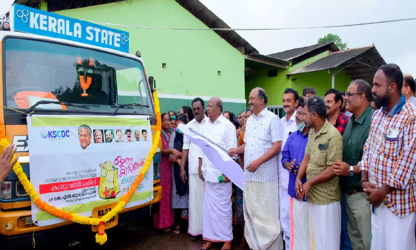 കശുവണ്ടി മേഖലയുടെ പുനരുദ്ധാരണത്തിന് പദ്ധതി -മന്ത്രി