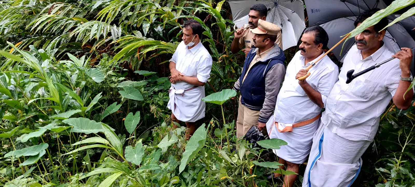 എസ്റ്റേറ്റിലെ മരങ്ങൾ മുറിച്ച കേസ്​: സഹോദരങ്ങൾ കീഴടങ്ങി