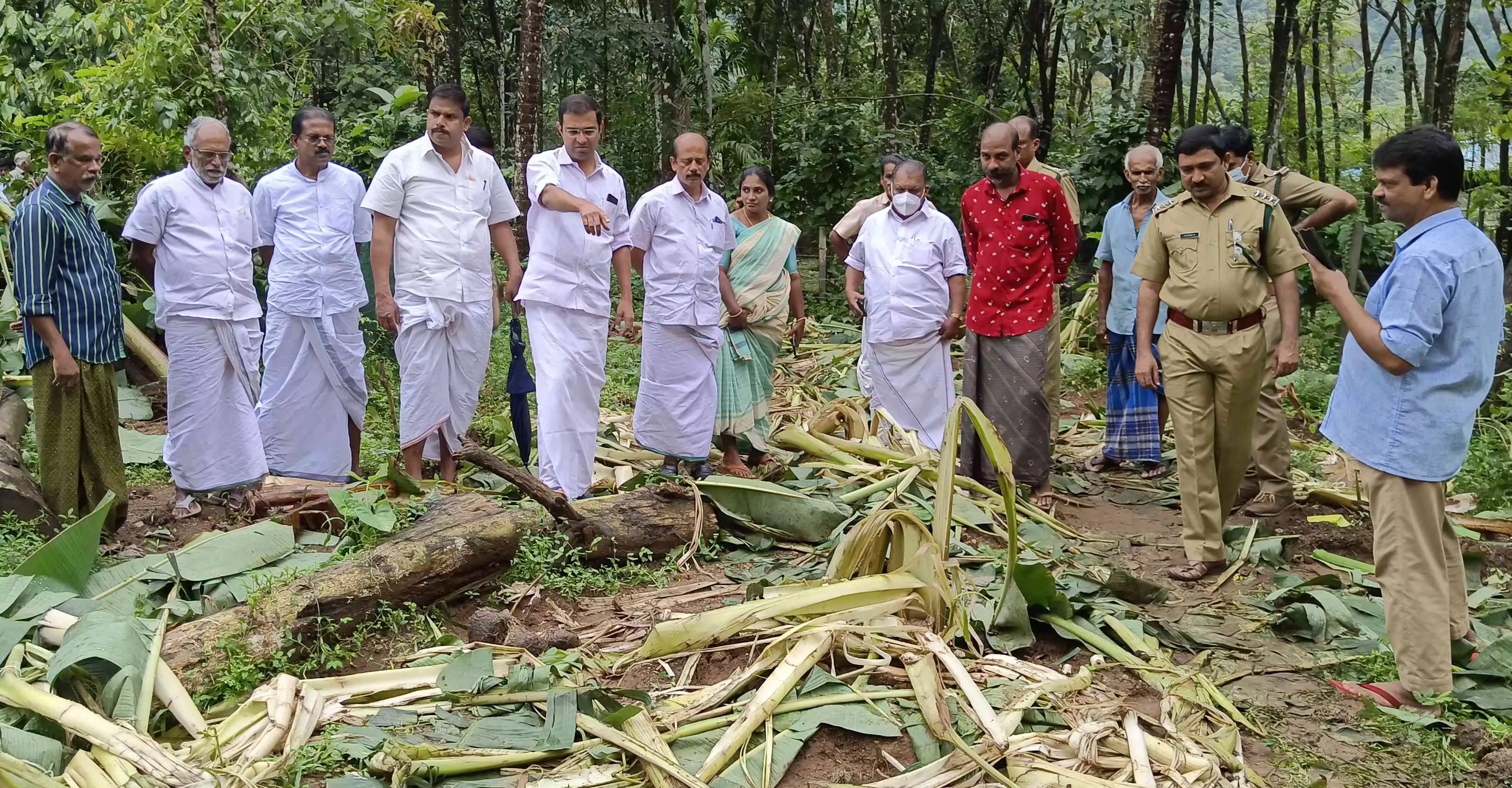 കാട്ടാനക്കൂട്ടം കൃഷി നശിപ്പിച്ചു