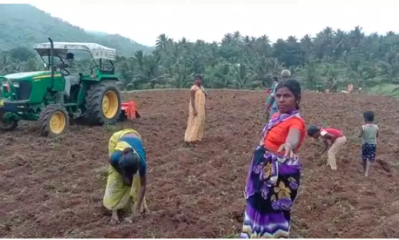 അട്ടപ്പാടി ആദിവാസിഭൂമി തട്ടിപ്പിൽ വഴിത്തിരിവ്; അന്വേഷണം ആവശ്യപ്പെട്ട് ലാൻഡ് റവന്യൂ കമീഷണർക്ക് പരാതി