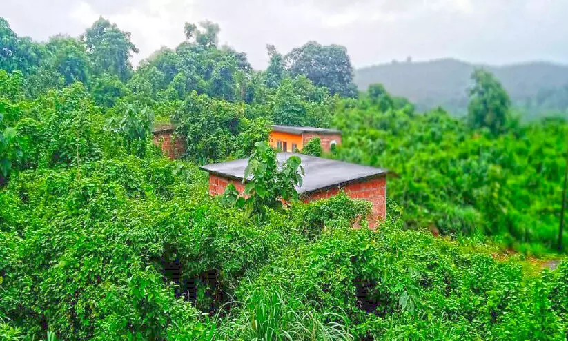 ആറളം ആദിവാസി പുനരധിവാസ മേഖലയിൽ വീട് നിർമാണത്തിന്റെ പേരിൽ വൻ തട്ടിപ്പ്