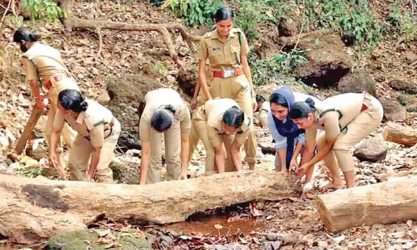 വനംവകുപ്പിൽ ഗർഭകാലത്ത് ജീവനക്കാർക്ക് യൂനിഫോം ധരിക്കുന്നതിൽ ഇളവ്