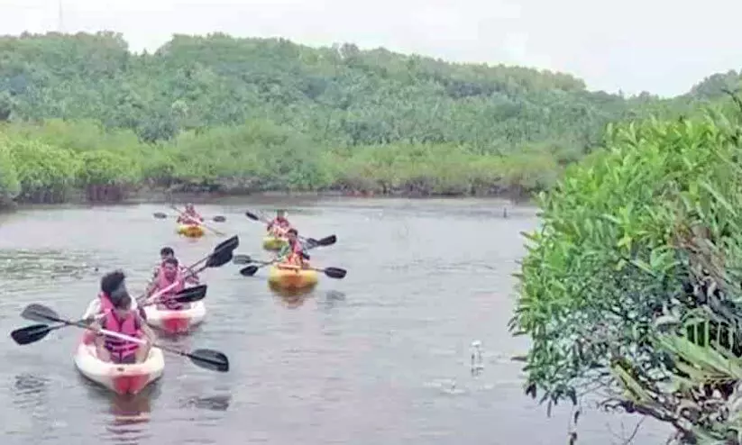 മുട്ടോളിക്കായലിലേക്ക് വരൂ, പ്രകൃതിയുടെ സൗന്ദര്യം കാണൂ