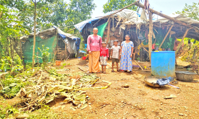 നാലംഗ കുടുംബം കാട്ടാനയുടെ പിടിയിൽനിന്ന് അത്ഭുതകരമായി രക്ഷപ്പെട്ടു