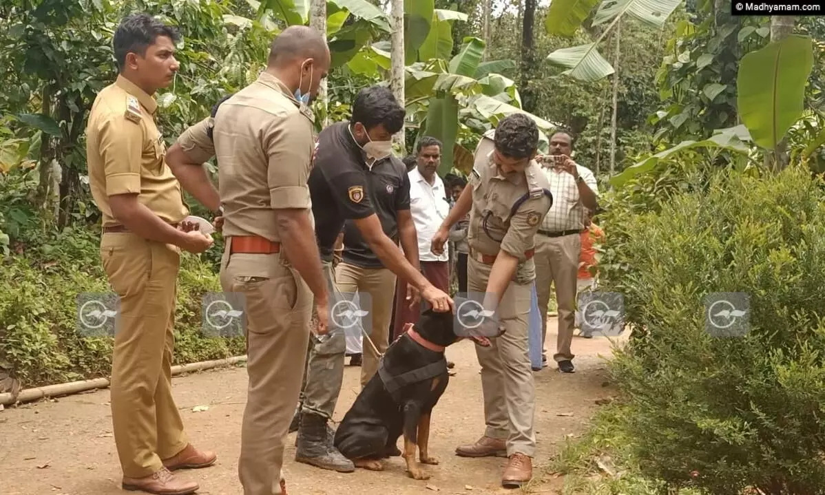 ആകെയുള്ള സ്ഥലം വിറ്റ് മകളുടെ വിവാഹത്തിന് വാങ്ങിയ സ്വർണം മോഷണം പോയി