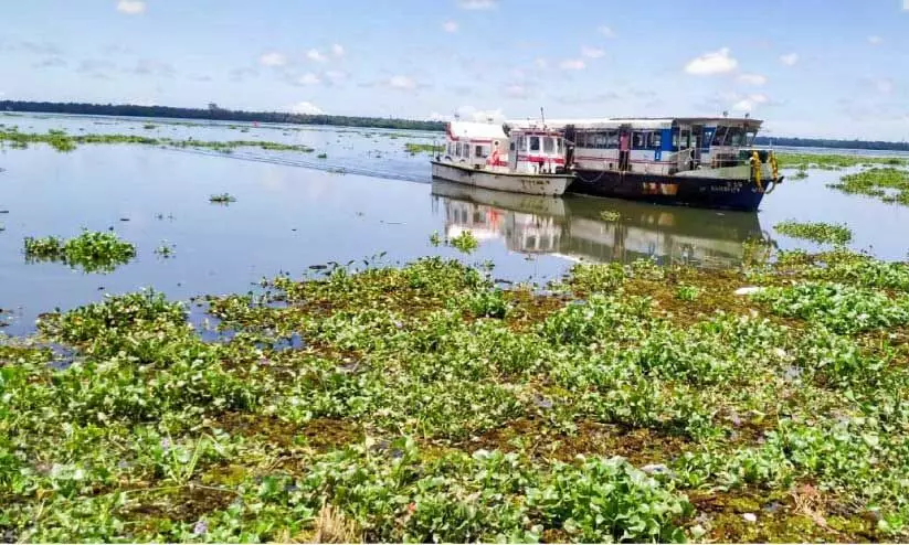 യാത്രക്കാരുമായി ബോട്ട് നടുക്കായലിൽ കുടുങ്ങി