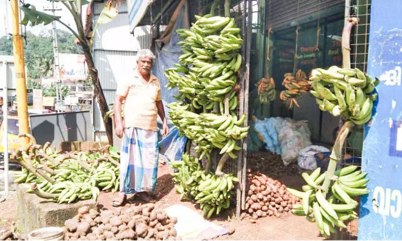 ഓണം: പരമ്പരാഗത വിളകൾക്ക് പ്രിയമേറുന്നു