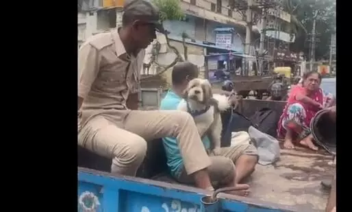 വെള്ളത്തിൽ മുങ്ങി ബംഗളൂരു; ട്രാക്ടറിൽ രക്ഷപ്പെട്ട് അൺഅക്കാദമി സി.ഇ.ഒ