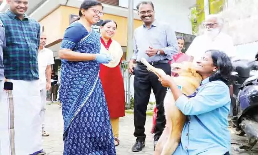 തെരുവ് നായ്ക്കൾക്ക് പേവിഷ പ്രതിരോധ കുത്തിവെപ്പിന് തുടക്കം