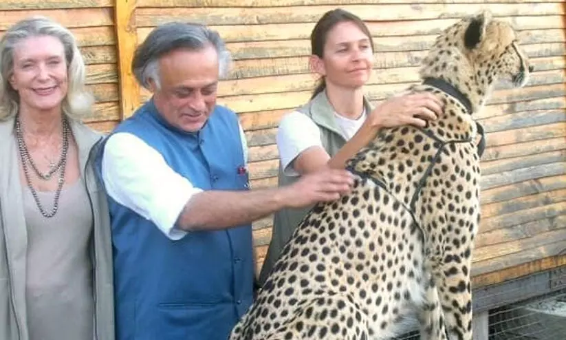 Jairam Ramesh- cheetahs