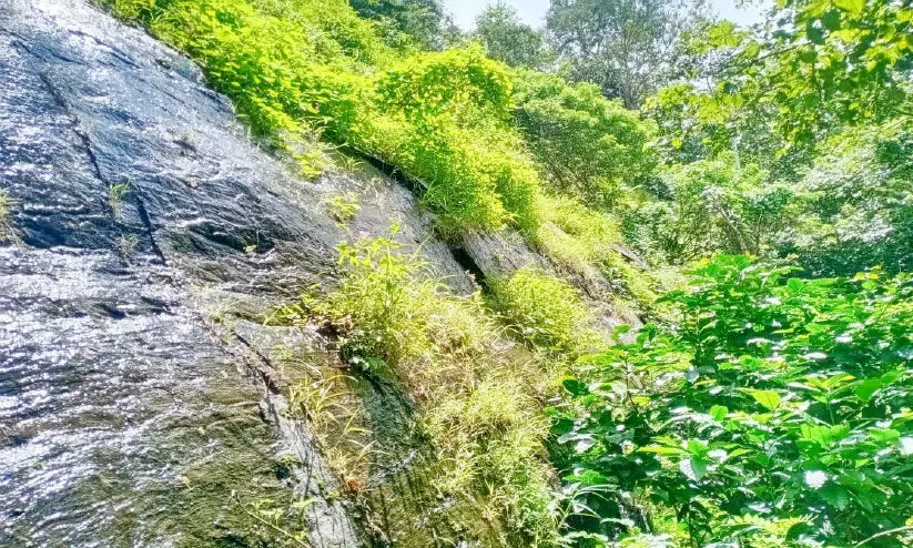 വാളത്തൂർ കരിങ്കൽ ക്വാറിക്ക് ലൈസൻസ് പ്രതിഷേധവുമായി നാട്ടുകാർ