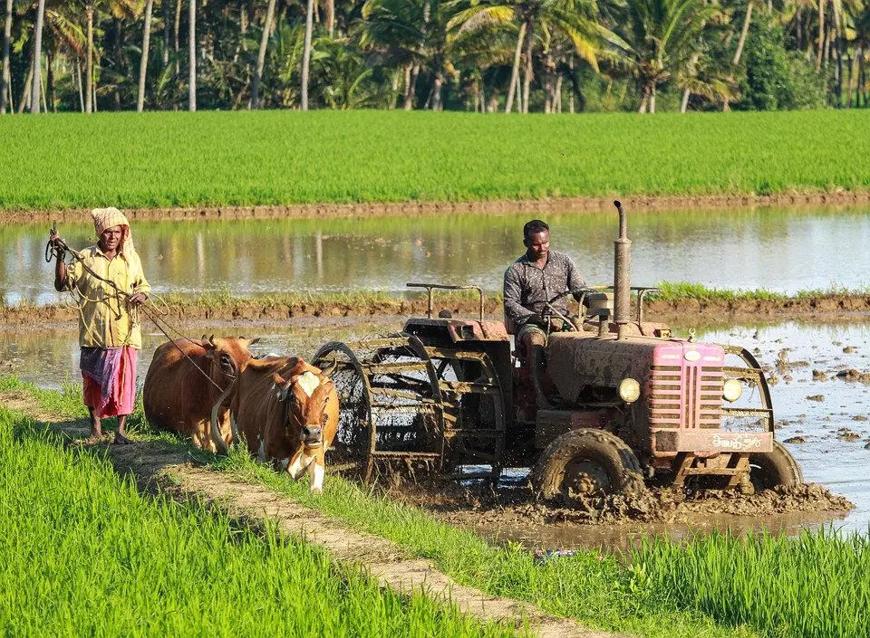 കുത്തഴിഞ്ഞ് കൃഷി ഓഫിസ്; കോടിക്കണക്കിന് രൂപയുടെ യന്ത്രോപകരണങ്ങൾ ഉപയോഗശൂന്യം