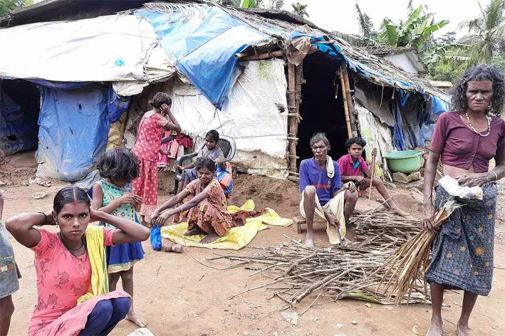 ആദിവാസി കോളനികളിൽ ഡിജിറ്റലി കണക്റ്റഡ് പദ്ധതി നടപ്പാക്കാൻ ഭരണാനുമതി