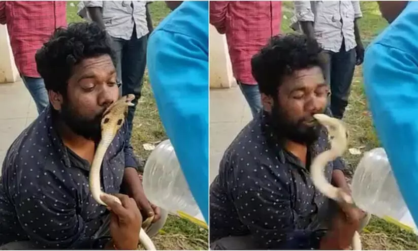 Snake bites Karnataka animal rescuer on lips after he tries to kiss it