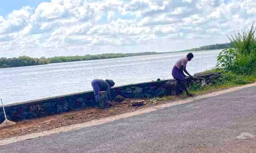 പഞ്ചായത്തധികൃതർ അവഗണന തുടർന്നു; നാട്ടുകാർ കാടുവെട്ടി പാത ശുചീകരിച്ചു