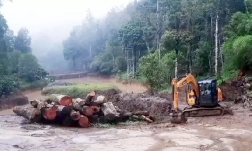 Illegal logging and construction of check dams