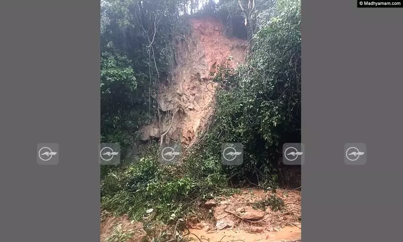 താമരശ്ശേരി ചുരത്തിൽ മണ്ണിടിഞ്ഞ് ഗതാഗതം തടസപ്പെട്ടു