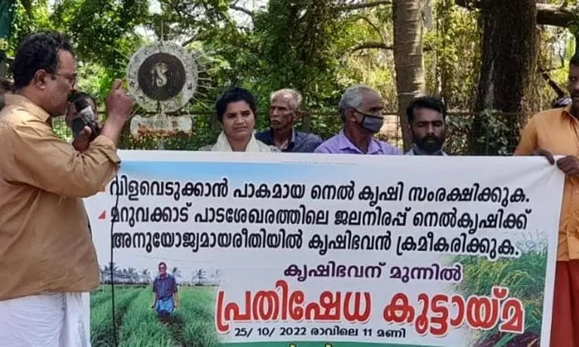 പൊക്കാളി സംരക്ഷണം ഉറപ്പാക്കണമെന്ന് ആവശ്യപ്പെട്ട് നെൽ കർഷകർ പ്രതിഷേധം നടത്തി