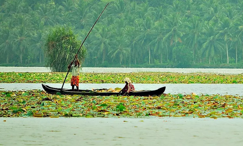 വെള്ളായണി കായലിൽ രണ്ട് ലക്ഷം മത്സ്യകുഞ്ഞുങ്ങളെ നിക്ഷേപിച്ചു