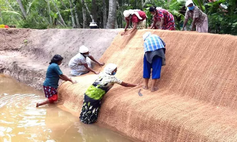 ക​യ​ര്‍ ഭൂ​വ​സ്ത്ര വി​താ​നം: തേ​വ​ല​ക്ക​ര മി​ക​ച്ച ഗ്രാ​മ​പ​ഞ്ചാ​യ​ത്ത്​