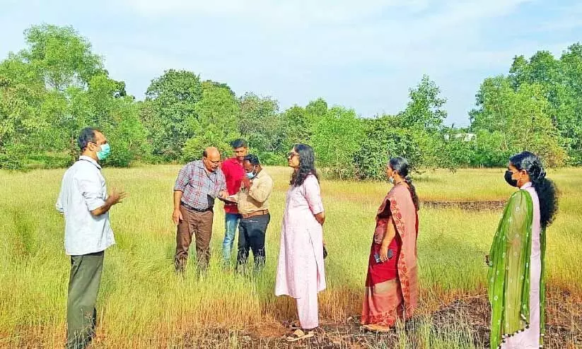 കുമ്പളയില്‍ ജലശുദ്ധീകരണ പ്ലാന്റ്