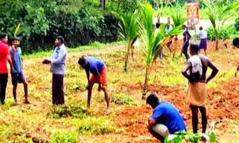 മണ്ണില്‍ പൊന്ന് വിളയിക്കുന്ന നന്മയുടെ പാഠം