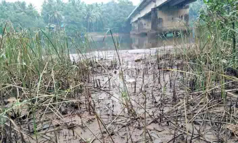 ചാനിയംകടവ് നാശത്തിന്റെ വക്കിൽ