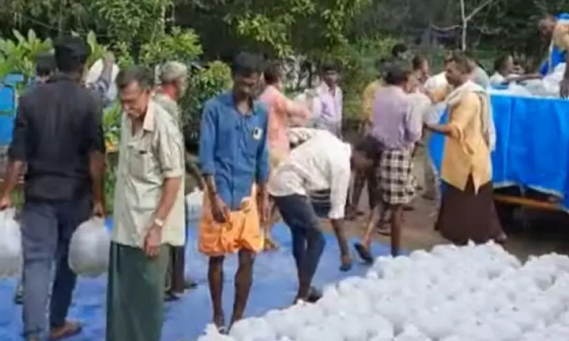 പ്രദേശവാസികള്‍ക്ക് തൊഴില്‍ നല്‍കുന്നില്ല; മത്സ്യ വിത്തുല്‍പാദന കേന്ദ്രത്തില്‍ തൊഴിലാളികളുടെ പ്രതിഷേധം