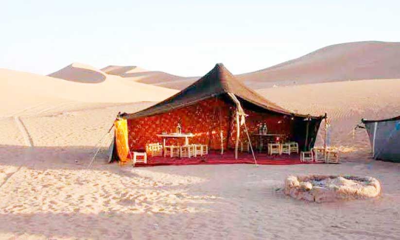 Come, let’s spend the night in the desert…. The spring fields are being prepared |  Spring fields in the Kuwait desert