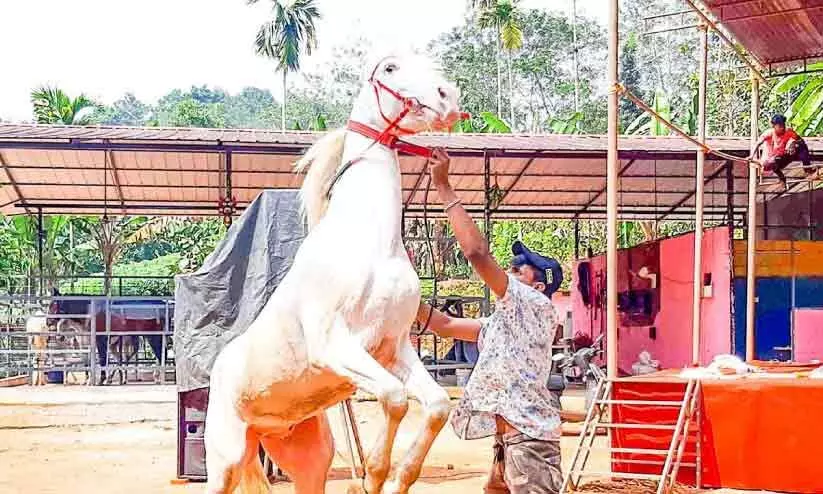 മ്ലാന്തടത്തിൽ കുതിരക്കുളമ്പടി ശബ്​ദം