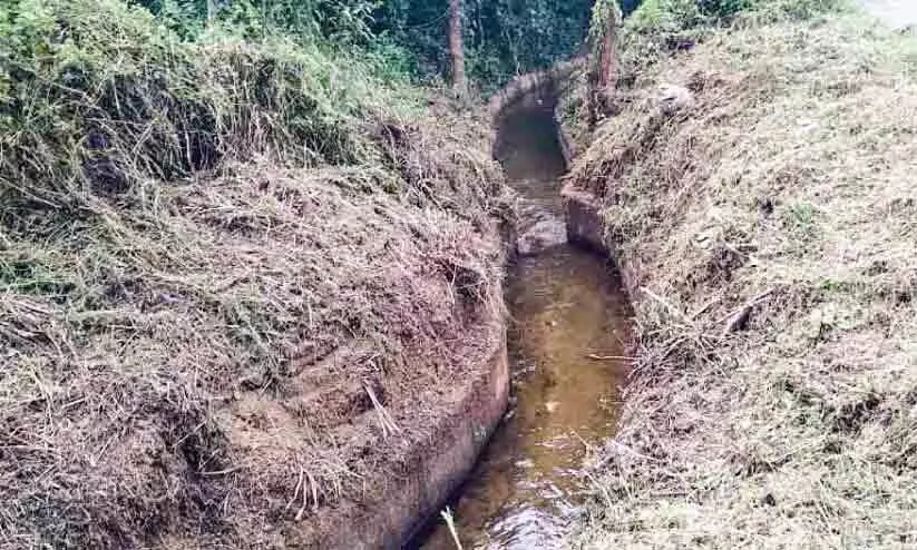 വെള്ളമില്ല; രണ്ടാംവിള ഉപേക്ഷിക്കാൻ കർഷകർ