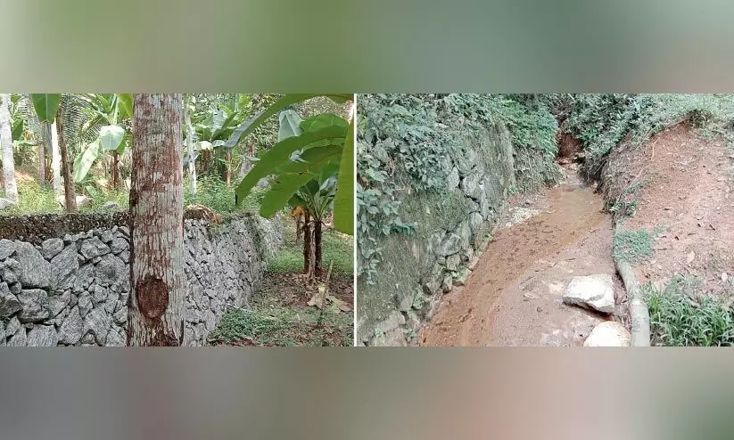 നാളെ ലോക മണ്ണ് സംരക്ഷണ ദിനം; പാതിയിൽനിലച്ച് ആനക്കുഴി-ചാമുണ്ടിമൂലതോട് മണ്ണ് ജല സംരക്ഷണ പദ്ധതി