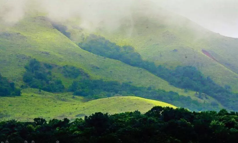 കരുതൽ മേഖല: പരാതികളിൽ നേരിട്ട് പരിശോധന; വിദഗ്ധ സമിതി കാലാവധി രണ്ടുമാസം നീട്ടി