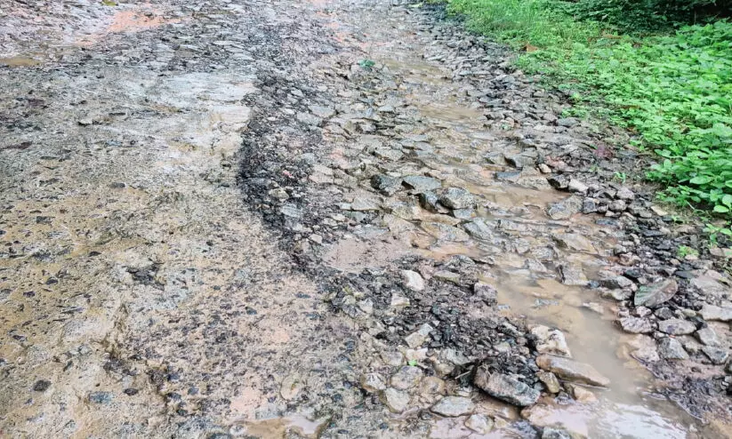 തകരാൻ ഇനി ഒരിഞ്ചു പോലുമില്ല; കുണ്ടും കുഴിയും നിറഞ്ഞ് പുഴമുടി-ഗവ. കോളജ് റോഡ്