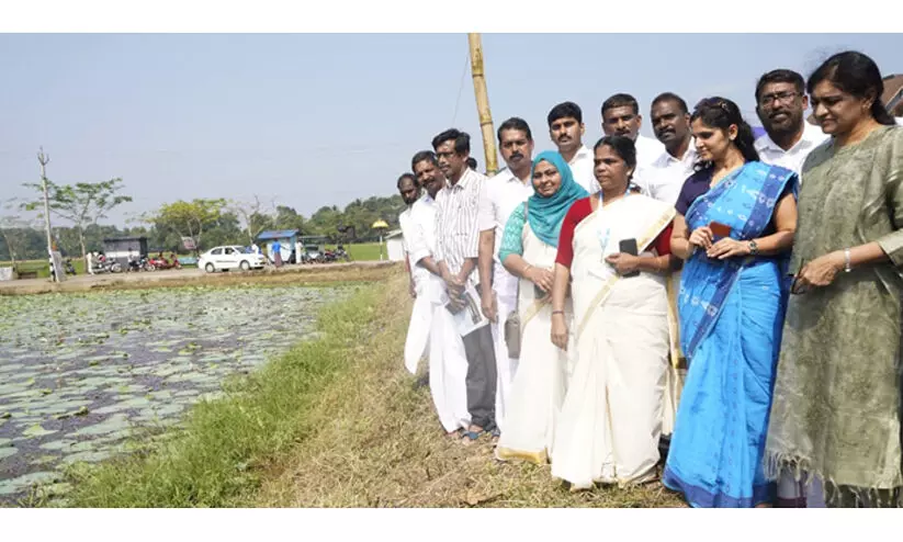 അമൃത് സരോവർ പദ്ധതി: ഉദ്യോഗസ്ഥ സംഘം തുമ്പിച്ചാൽ ചിറ സന്ദർശിച്ചു