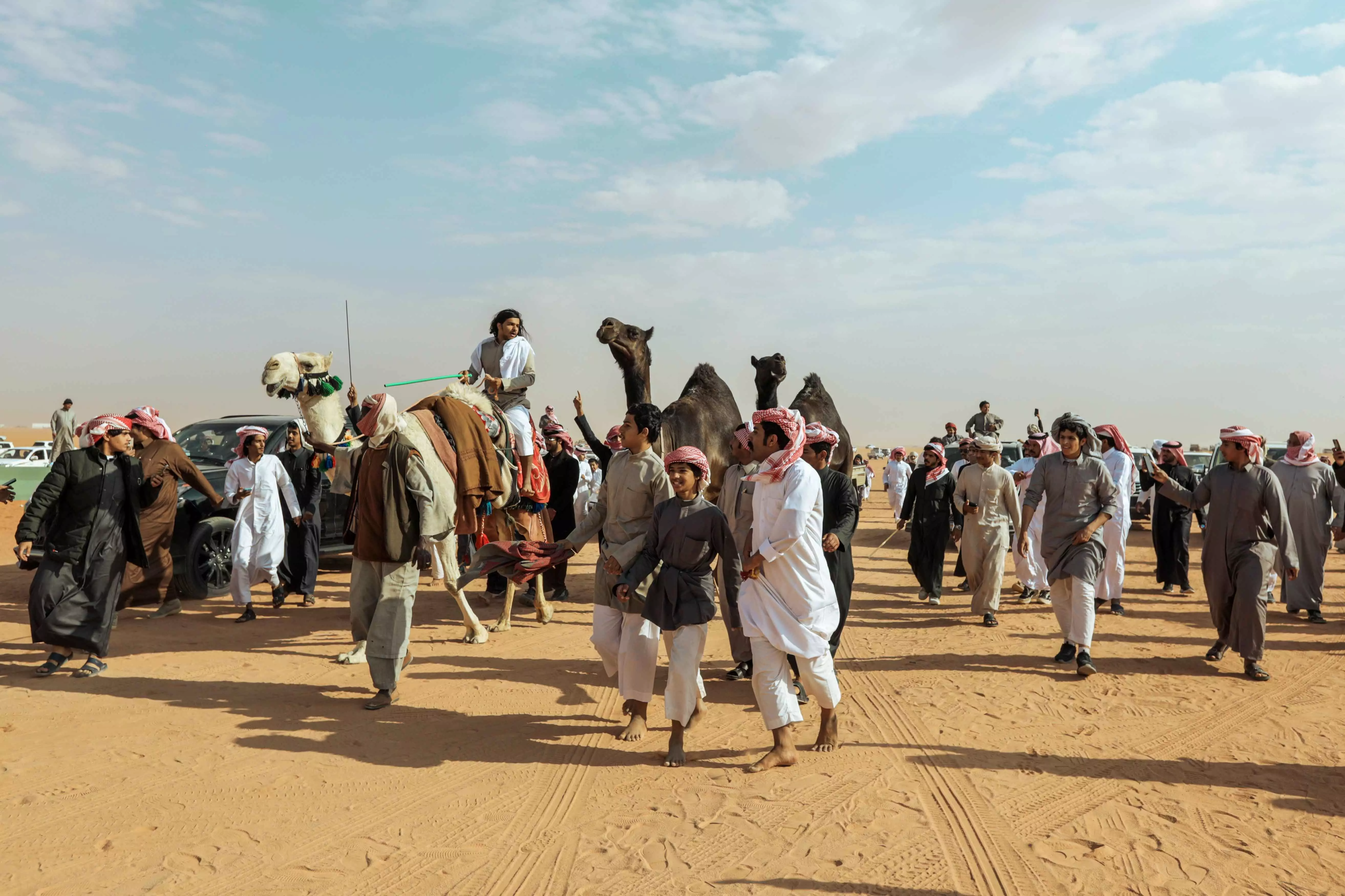 Camel race begins in Riyadh