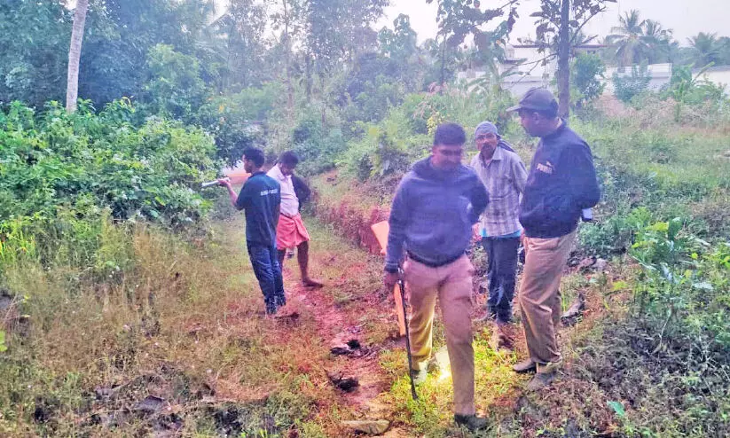 കടുവയും പുലിയും നാടിറങ്ങുമ്പോൾ