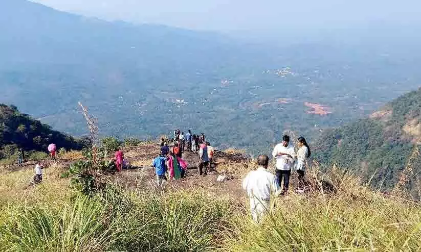 പുതുവർഷം ആഘോഷിക്കാൻ പാലുകാച്ചി മലയിലേക്ക് സഞ്ചാരികളുടെ പ്രവാഹം