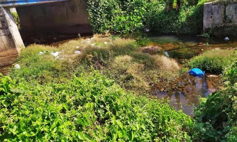 പു​ലി​വാ​ലാ​യി പൂ​വാ​ലി​ത്തോ​ട്ടി​ലെ മാ​ലി​ന്യം