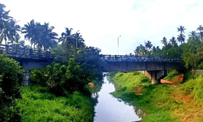 ‘ബ്രിഡ്ജ് ടൂറിസം പദ്ധതി’യിൽ ഇടംതേടി നെടുങ്ങണ്ട ഒന്നാം പാലം