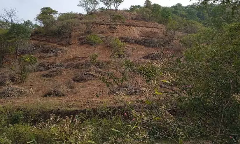 അട്ടപ്പാടിയിൽ വീണ്ടും വൻ ഭൂമി തട്ടിപ്പ്: വട്ടലക്കി ഫാമിങ് സൊസൈറ്റിയുടെ 504 ഏക്കർ ഭൂമി ആരുടെ കൈവശം?