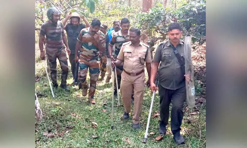 നാ​ടു​നീ​ളെ ക​ടു​വ​ക​ൾ: ആ​ശ​ങ്ക​യി​ൽ വി​വി​ധ പ്ര​ദേ​ശ​ങ്ങ​ൾ; ‘സാ​ന്നി​ധ്യ​മ​റി​യി​ച്ച് വ​നം വ​കു​പ്പ്