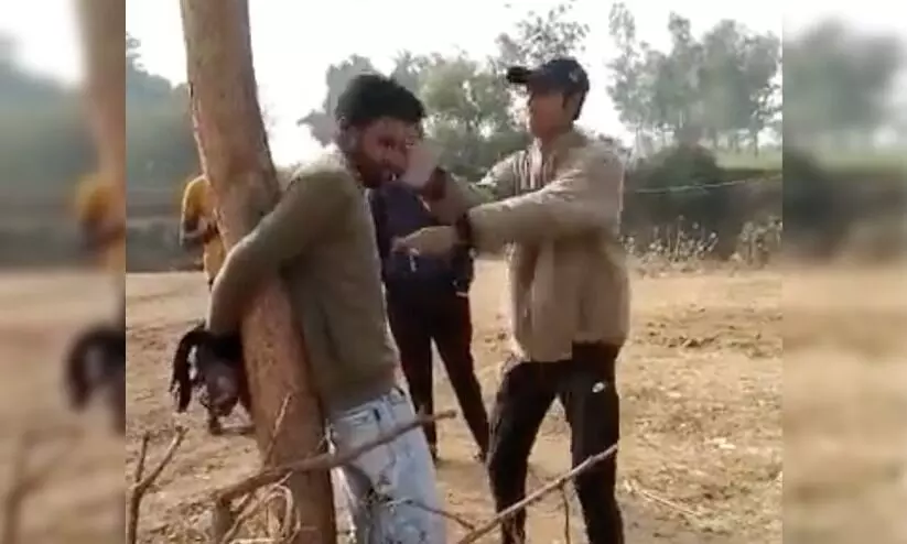 Journalist Tied To Tree, Slapped And Punched In Madhya Pradesh