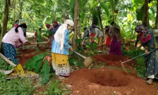 തൊഴിലുറപ്പ് വിഹിതം വെട്ടിക്കുറച്ചത് പാവങ്ങളോടുള്ള സര്‍ജിക്കല്‍ സ്ട്രൈക്കാണെന്ന്  എം.ബി രാജേഷ്