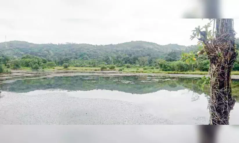 വടക്കേപ്പുഴയിൽ കയാക്കിങ് പദ്ധതിക്ക് ചിറകുമുളക്കുന്നു