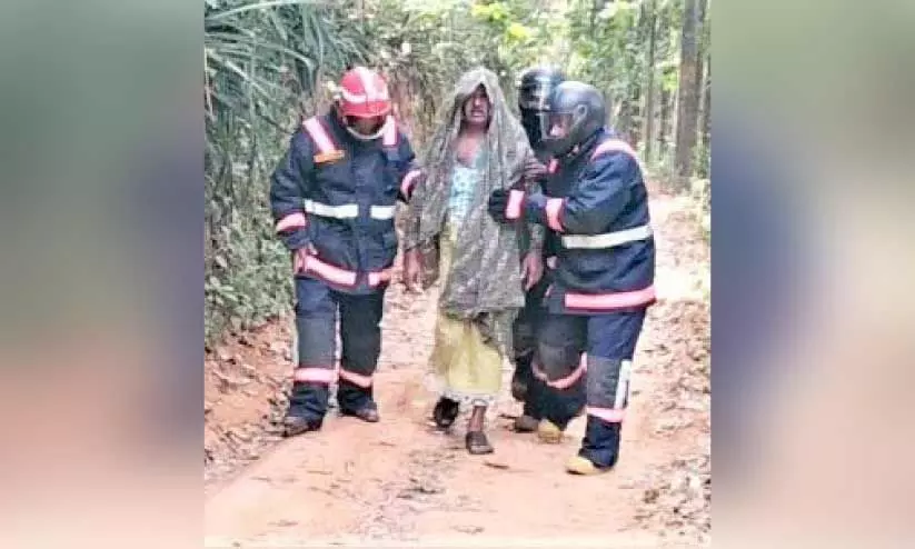 കോളിക്കടവിൽ പായ് തേനീച്ചയുടെ ആക്രമണം; ആറു പേർക്ക് പരിക്ക്