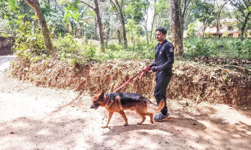 murder of women in pandalam